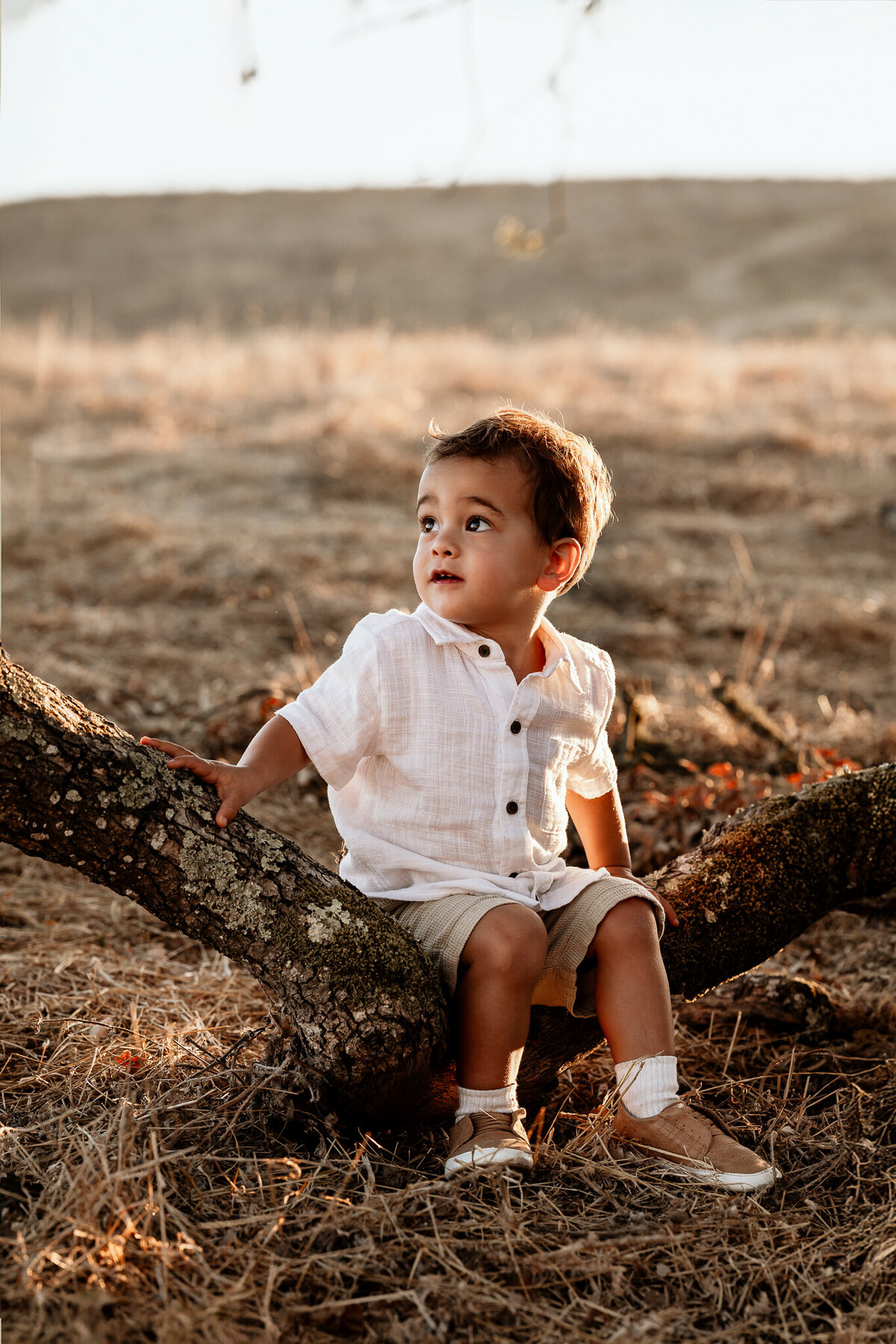 mk-photography-santa-rosa-family-photos-22