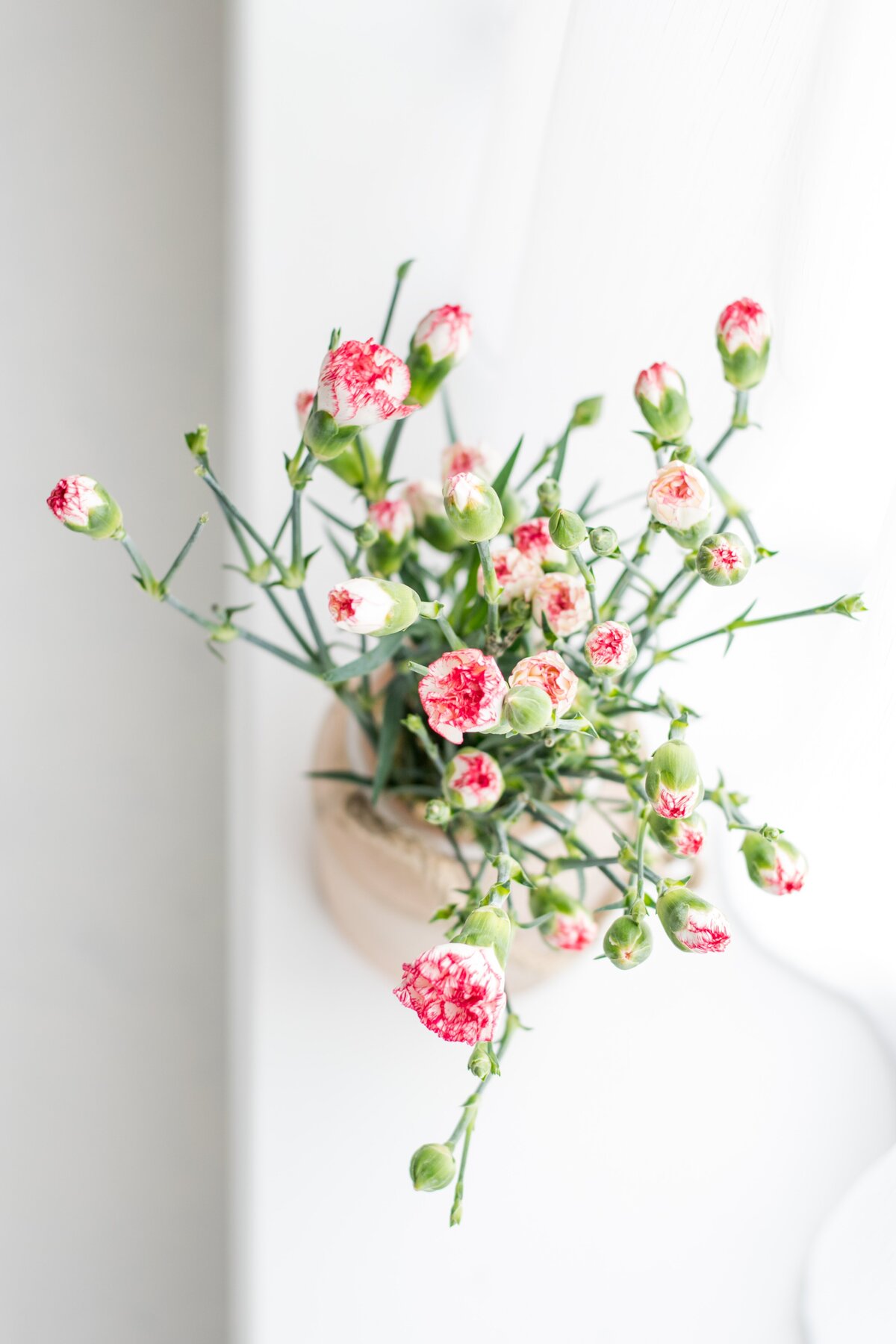 monika-grabkowska-ngasdS14AqE-unsplash