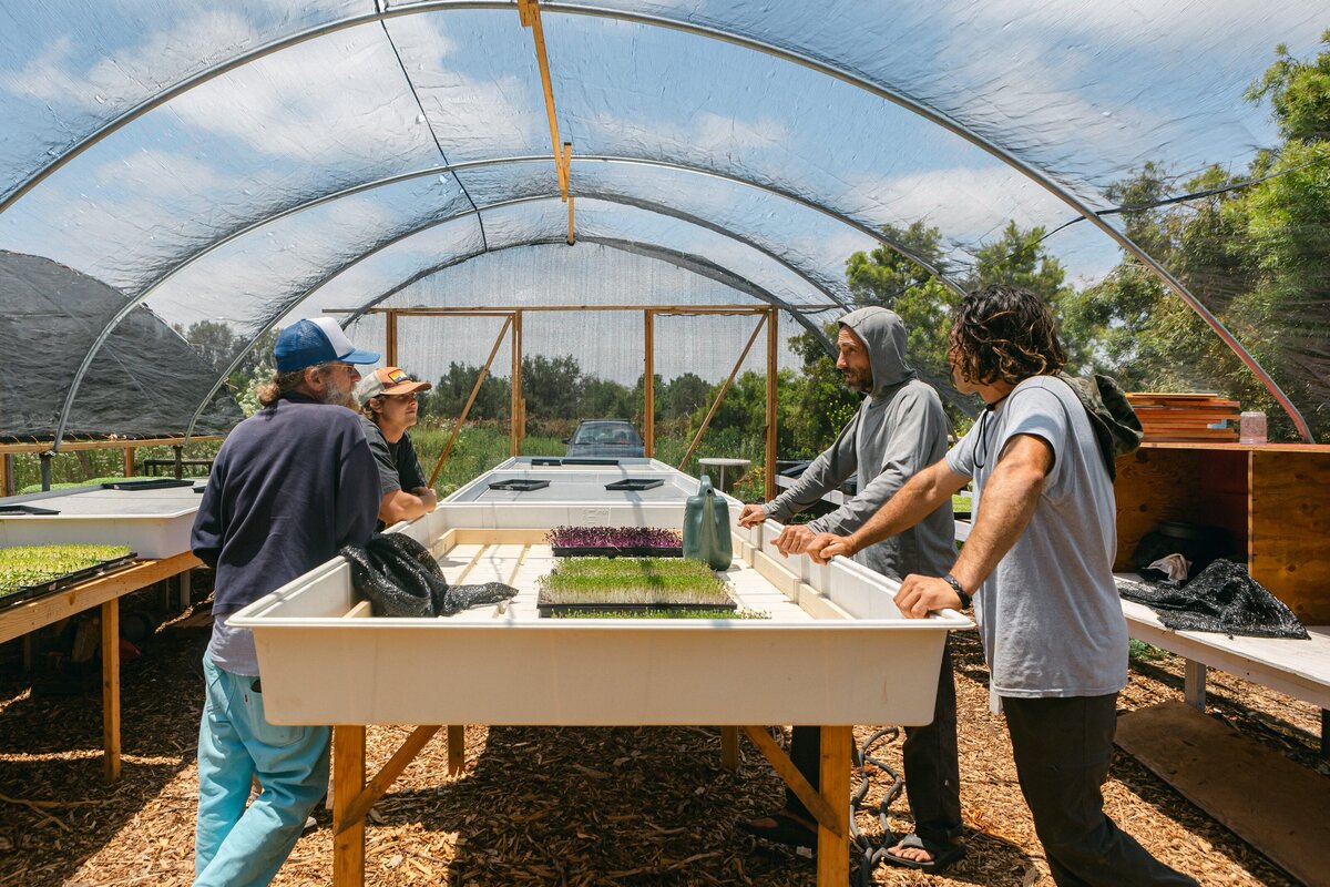 Channel-Islands-Micro-Greens-Local-Farmers-Markets-0008