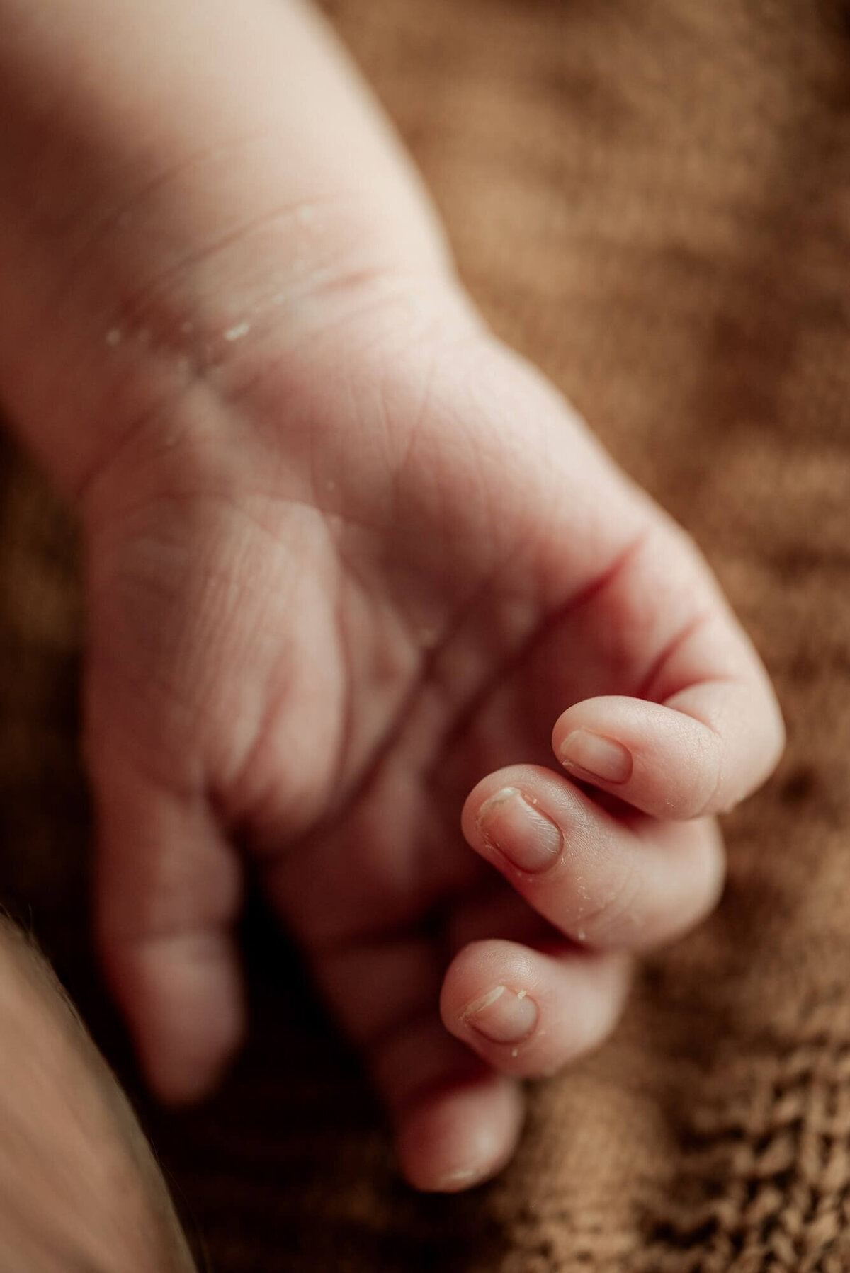 Newborn fotoshoot Photo by Patricia 12