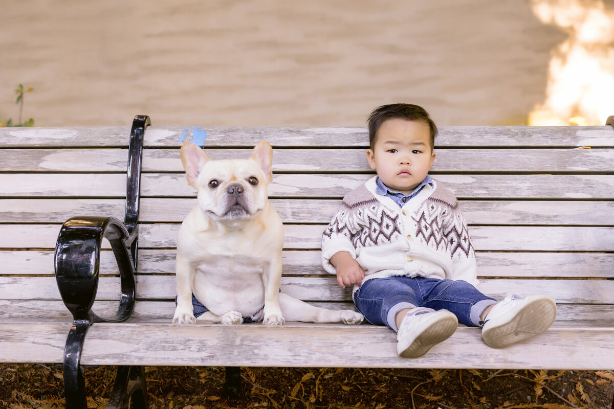 Child sits on a public bench with dog to his right