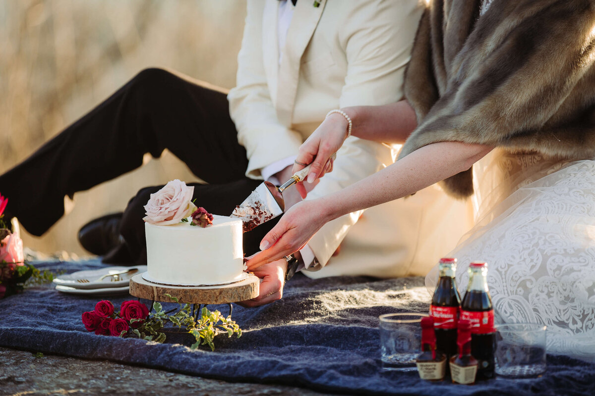 Jump-Off-Rock-NC-Mountain-Elopement-46