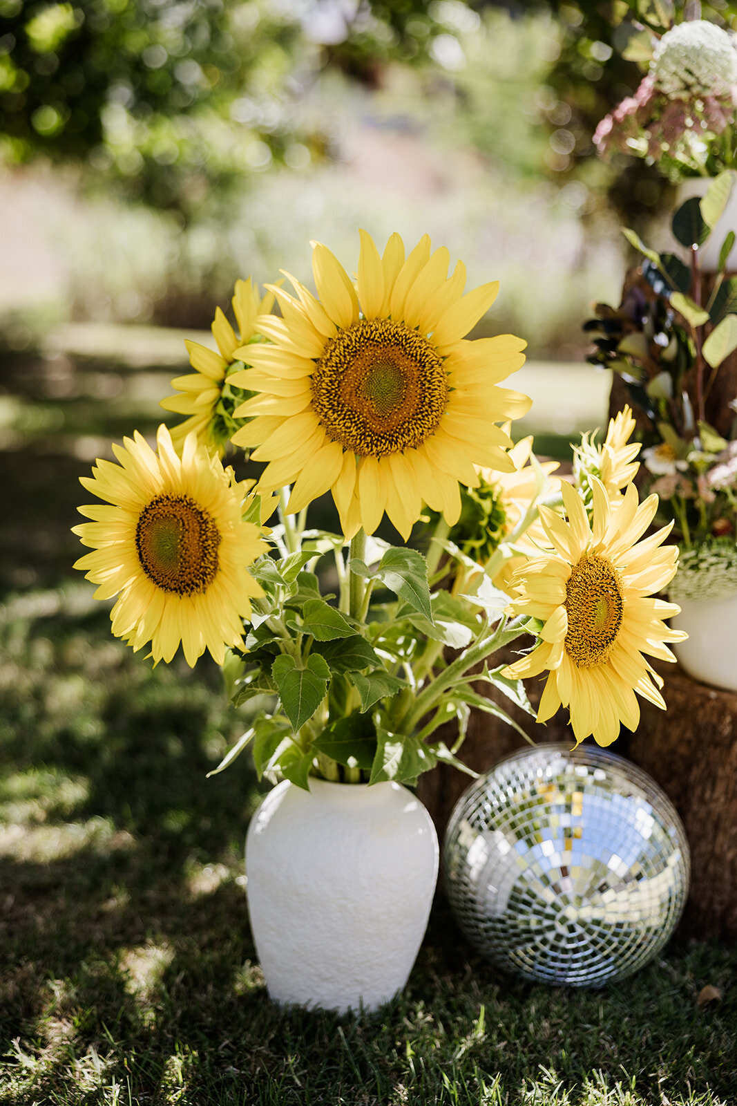 Jess and Ben - 28.02.2025 - JessicaCarrollPhotographer-218_websize