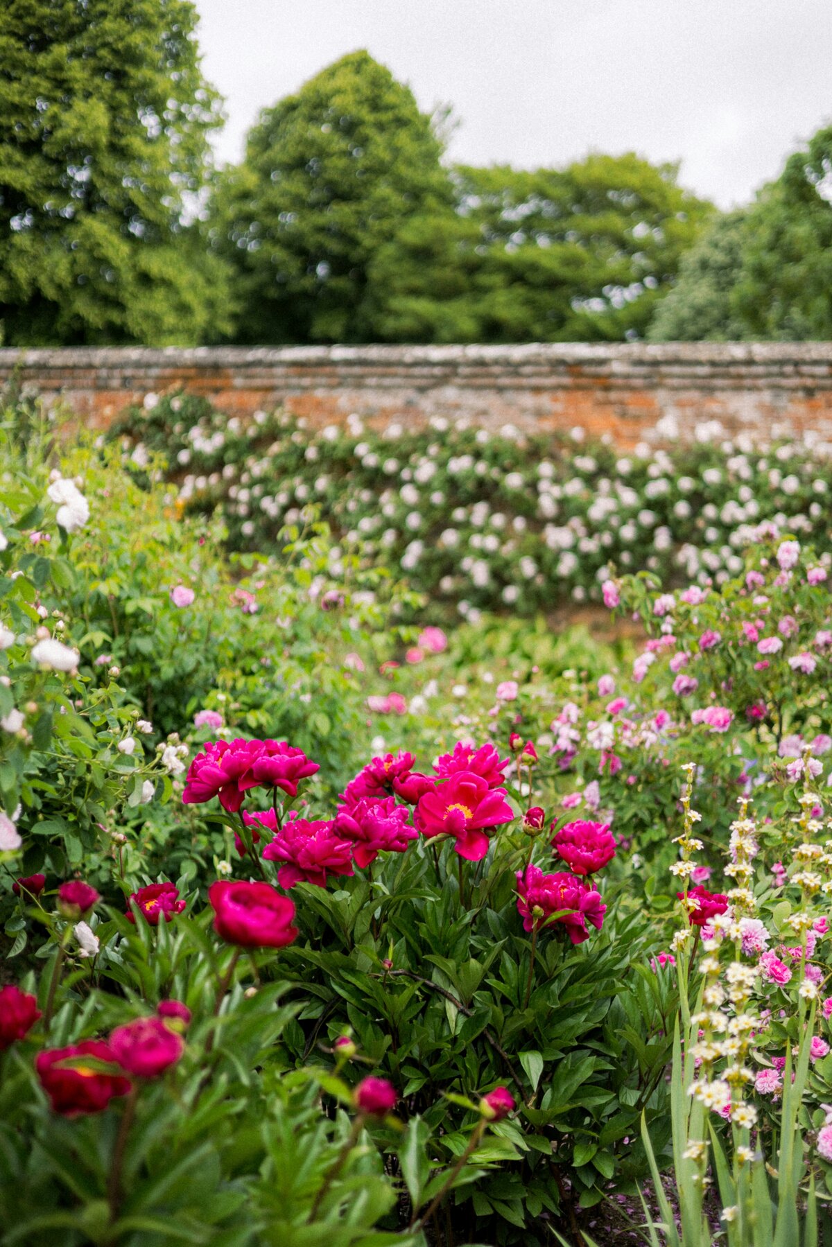 annie-spratt-ak6DjN_3D4k-unsplash