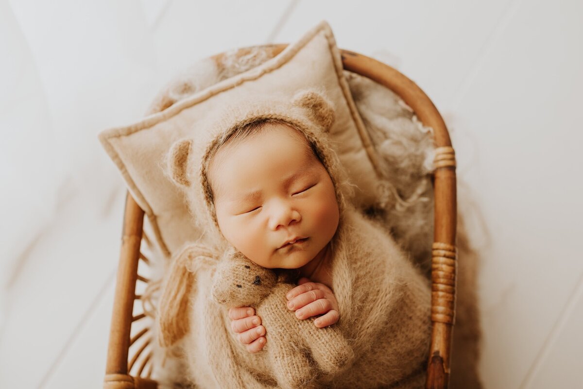 Sacramento, Elk Grove, Florin, Vineyard, Roseville, Davis, Rancho Cordova, East Sacramento, Cameron Park, Folsom, Antelope Newborn Photographer, Baby Photographer, A Little Goose