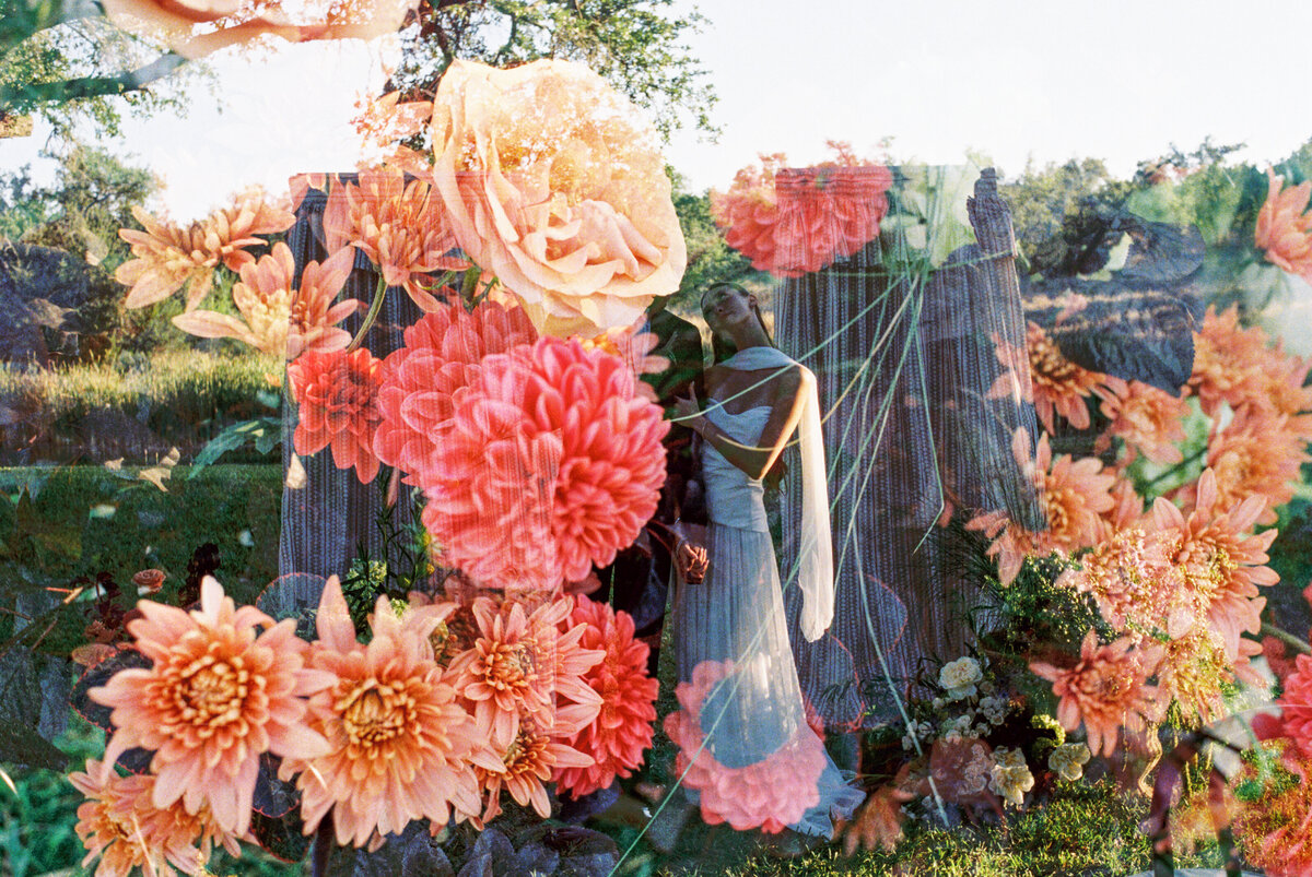 Reistle002308-R1-020