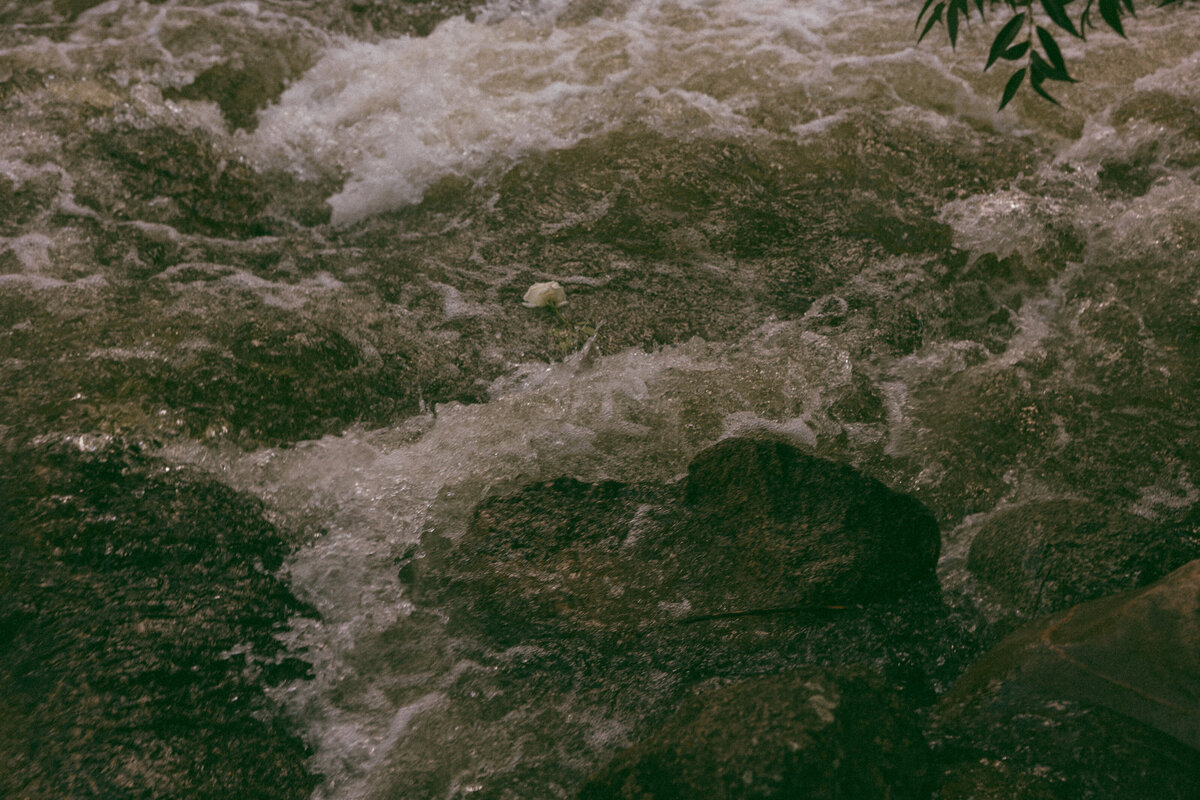 Harvey-10-Us-PaytonHartsellPhotography-837