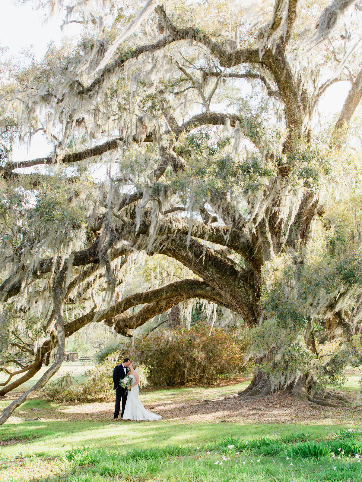 Photo Galleries, Charleston Wedding Venues