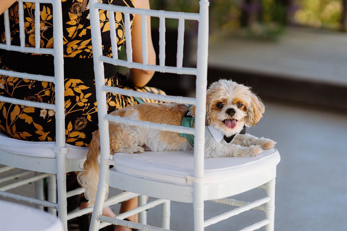 Kooroomba Lavendar Farm Wedding K&J Sneak Peeks-17