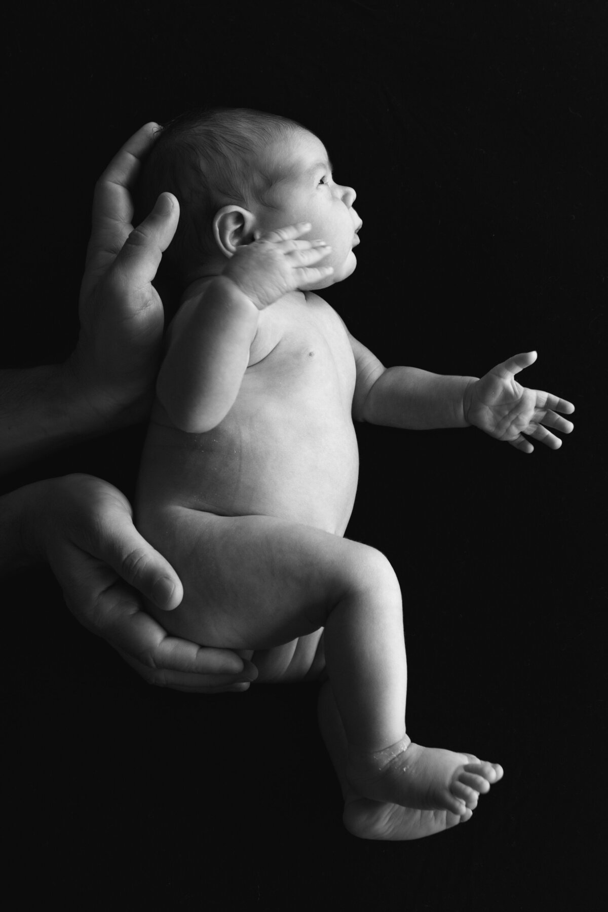 family-storytelling (112 of 15)