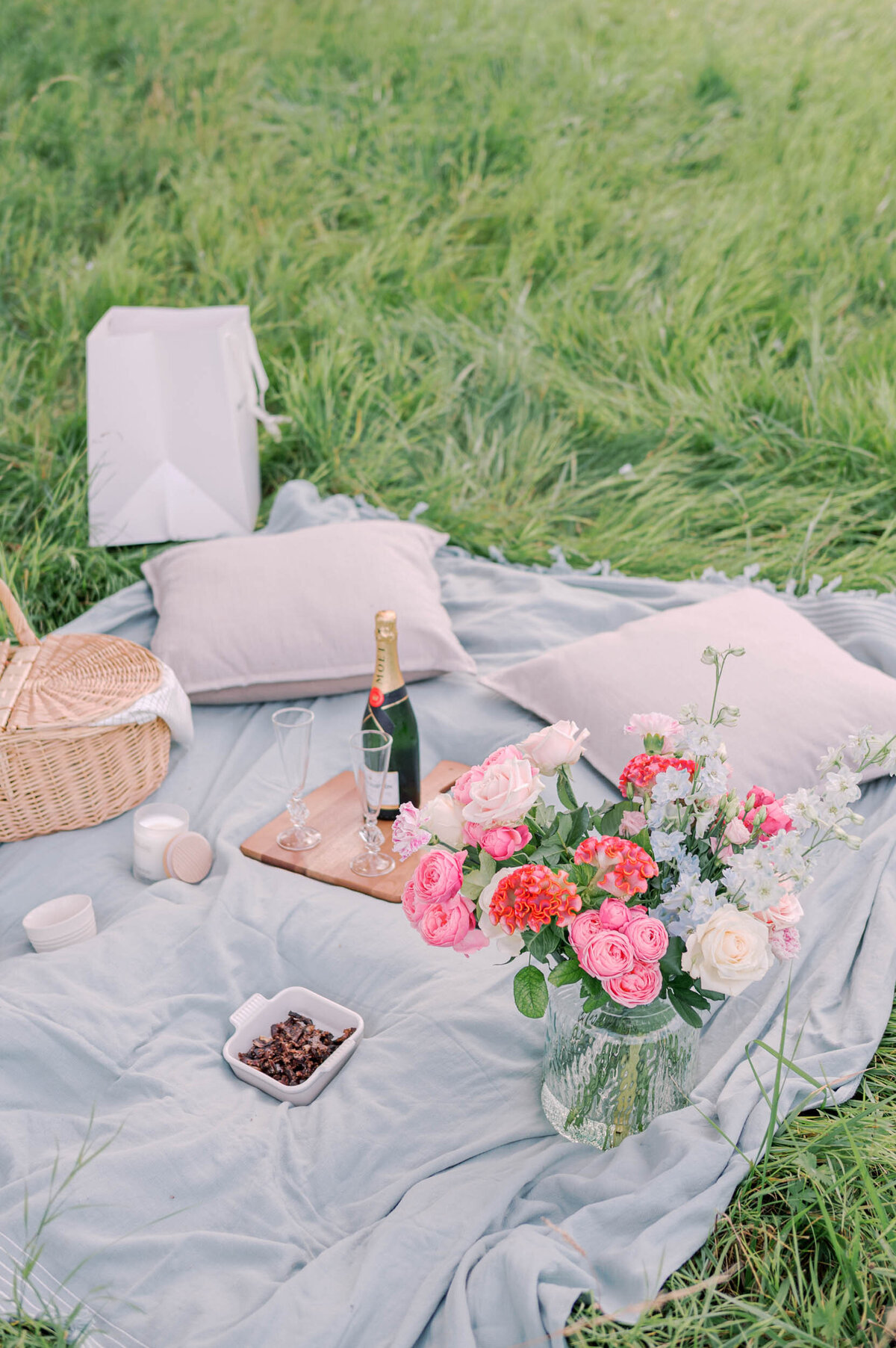 marriage-proposal-amsterdam-picknick-02