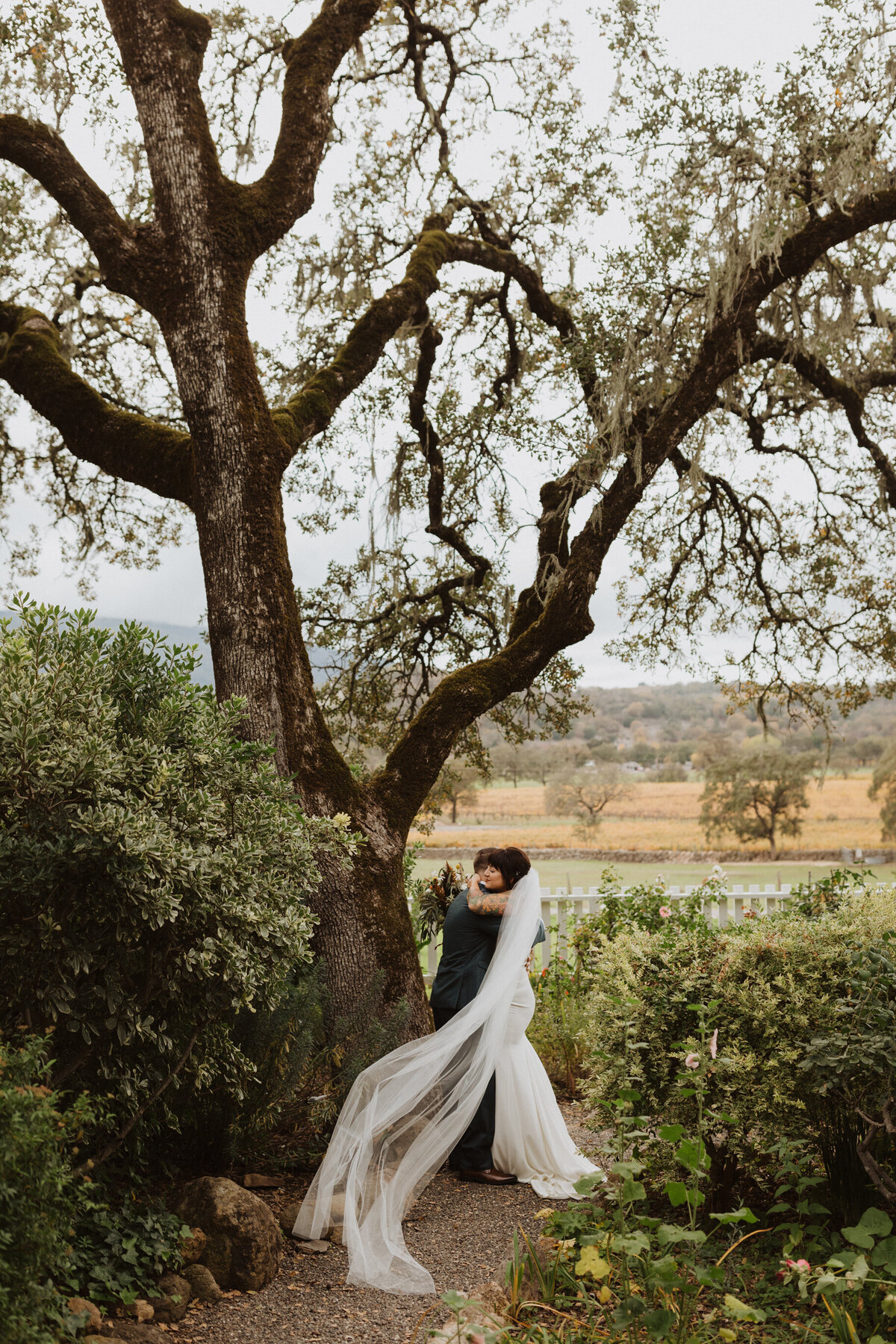 Newlyweds kissing under oak tree surrounded by green bushes while bride's veil wraps around them