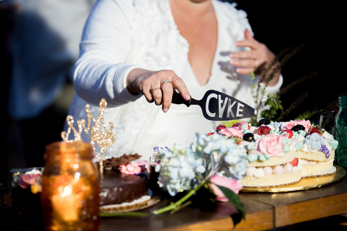 cake_enidarvelophotography