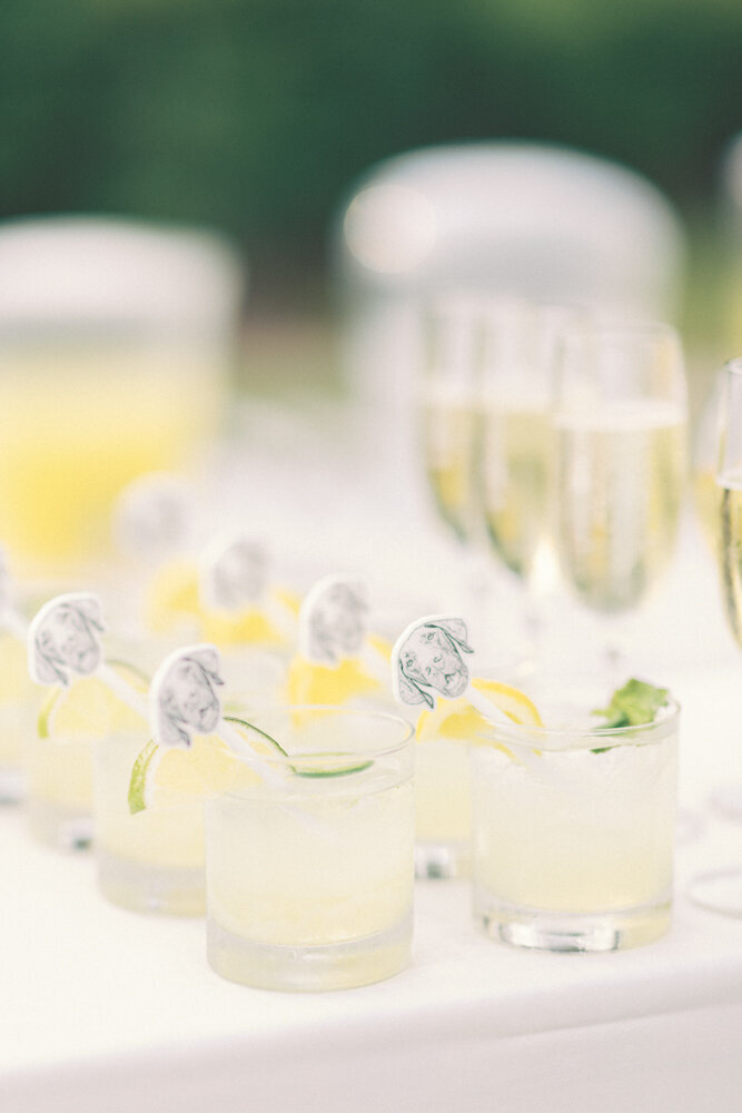 middleton-place-wedding-charleston-wedding-photographer-17