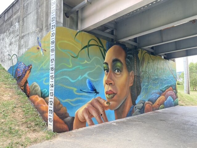 image4 (1)