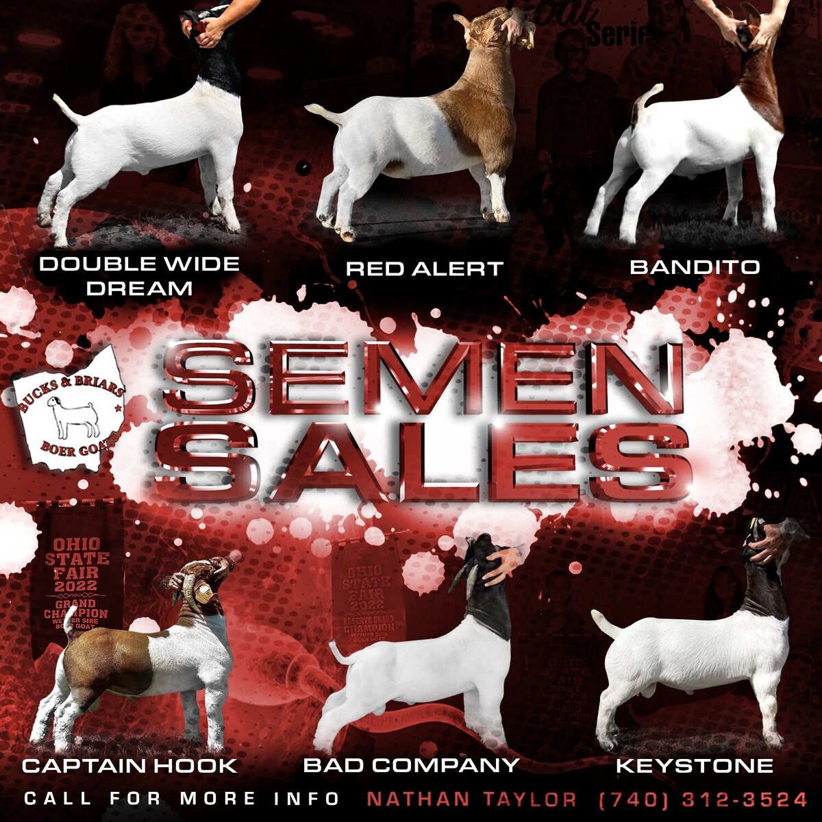 BBNT_GraphicBundle3SEMEN SALES