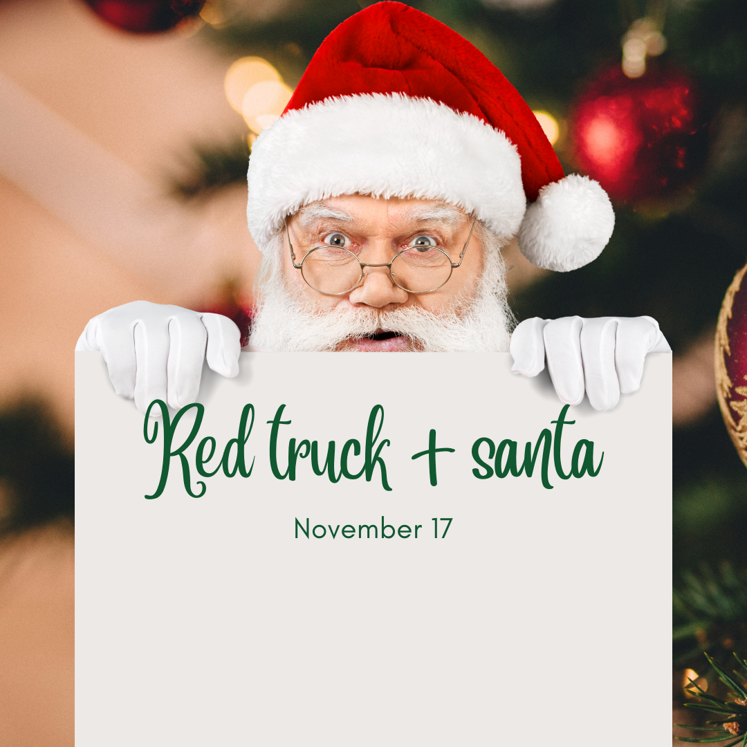 Santa Claus Merry Christmas Instagram post 