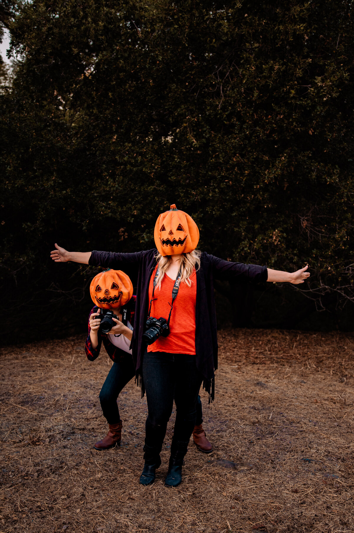 Sacramento Area Photographer