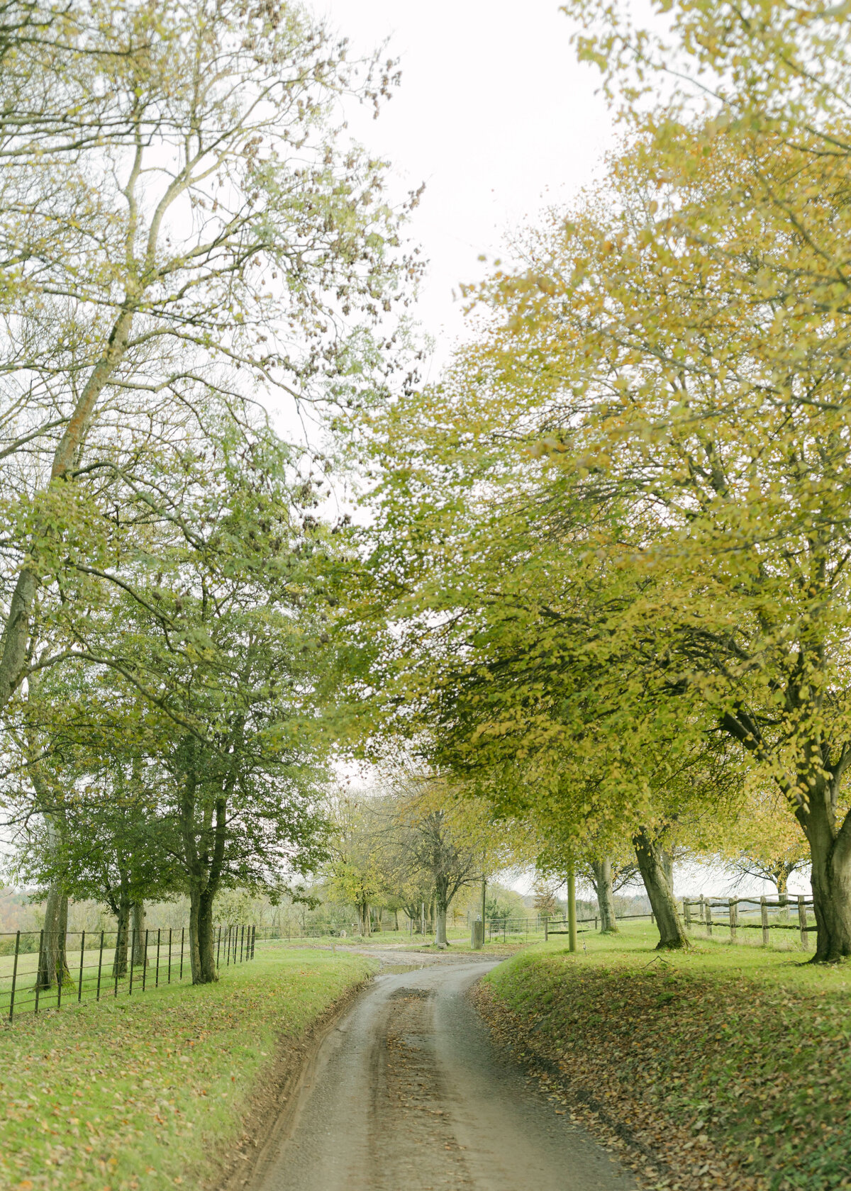 chloe-lowe-wedding-euridge-manor-cotswolds-trees