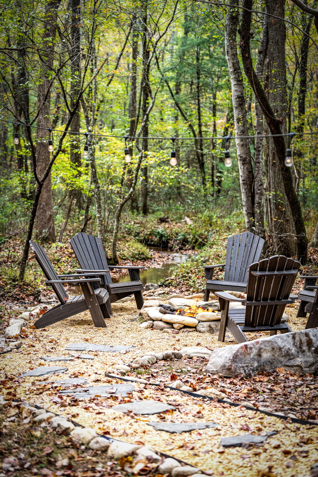 45Shady-Grove-Cabin-Blue-Ridge-GA_7051_Firepit