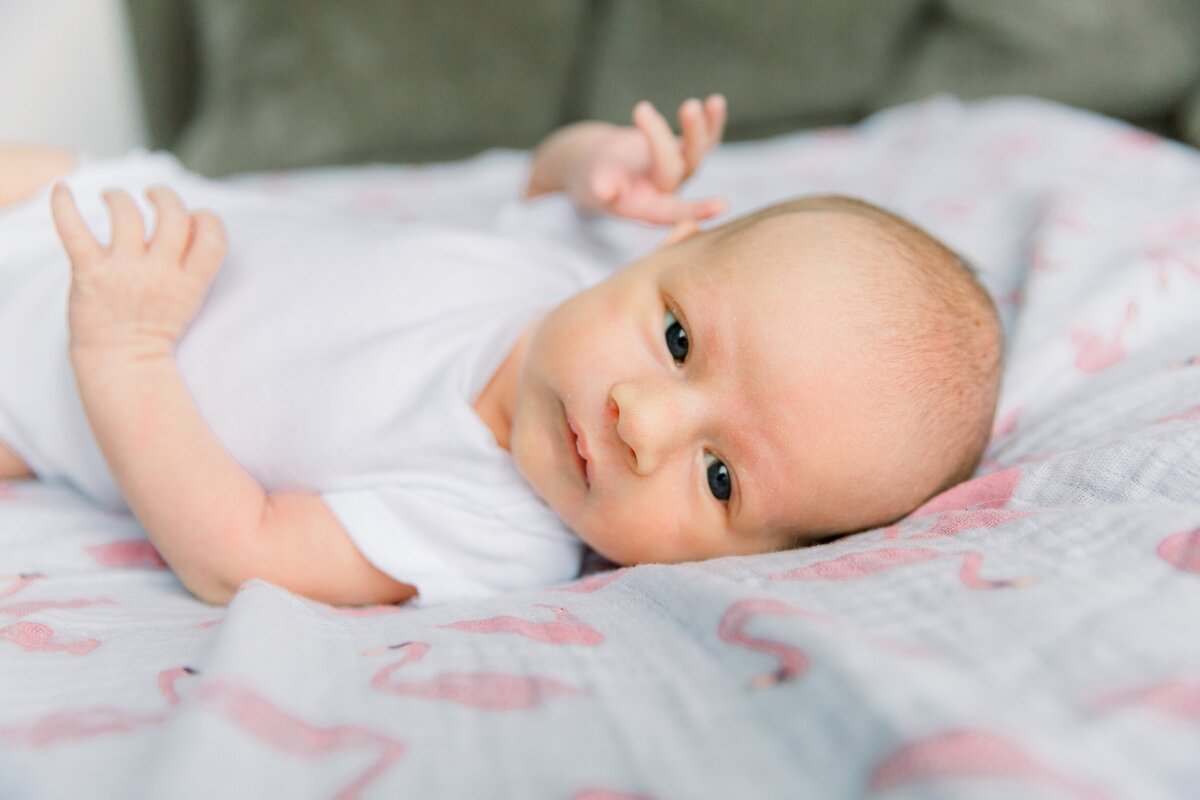 Boston-Newborn-Photographer-07