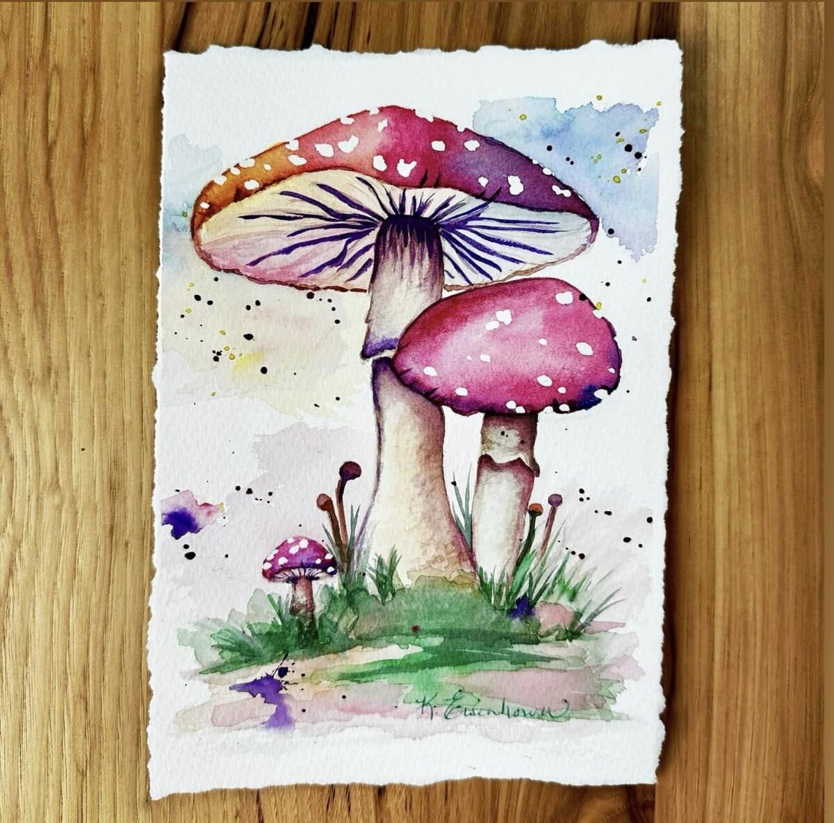 mushroom magic