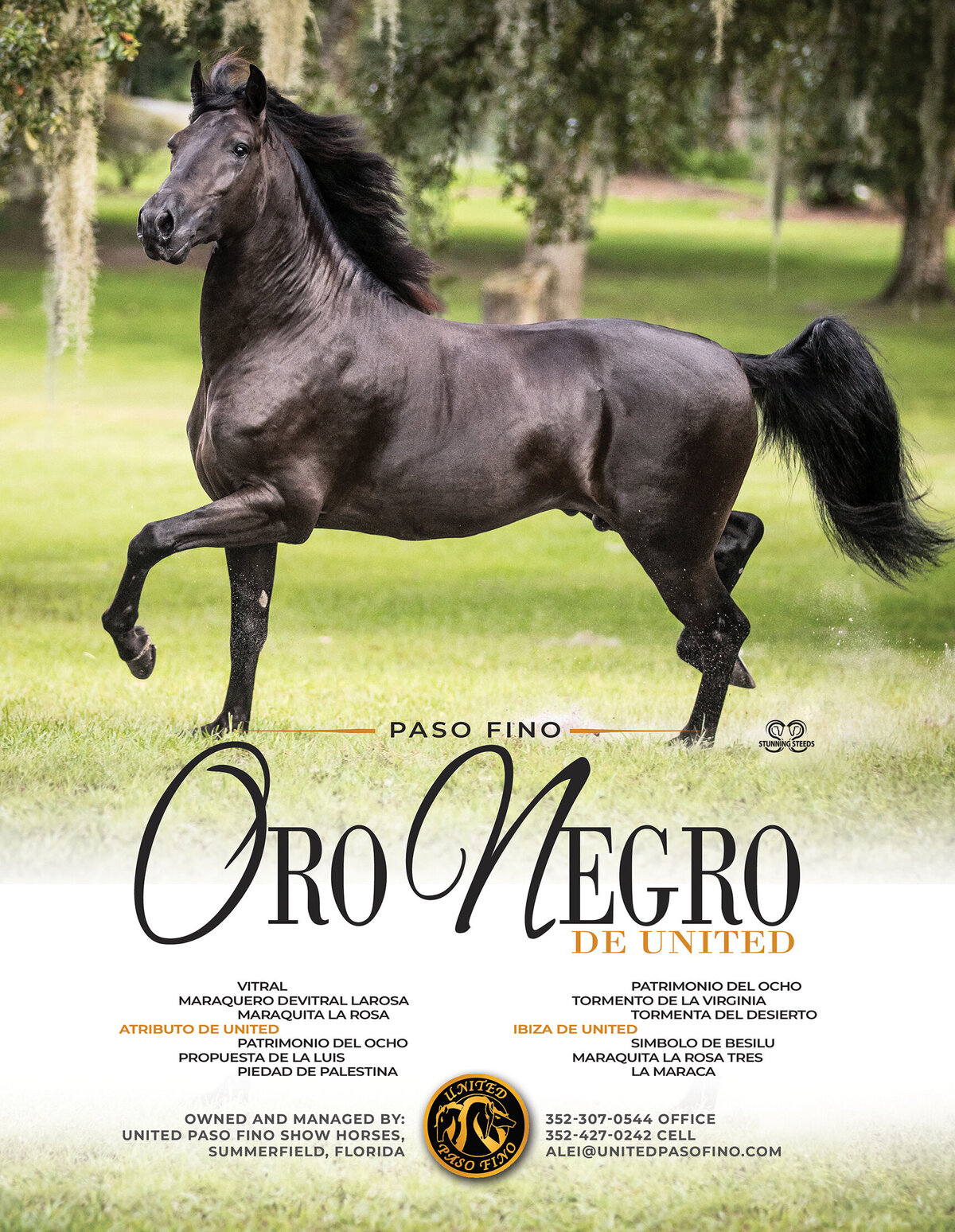 UNITED-Sept-Oct 2020 - Oro Negro-PFHW Full pg