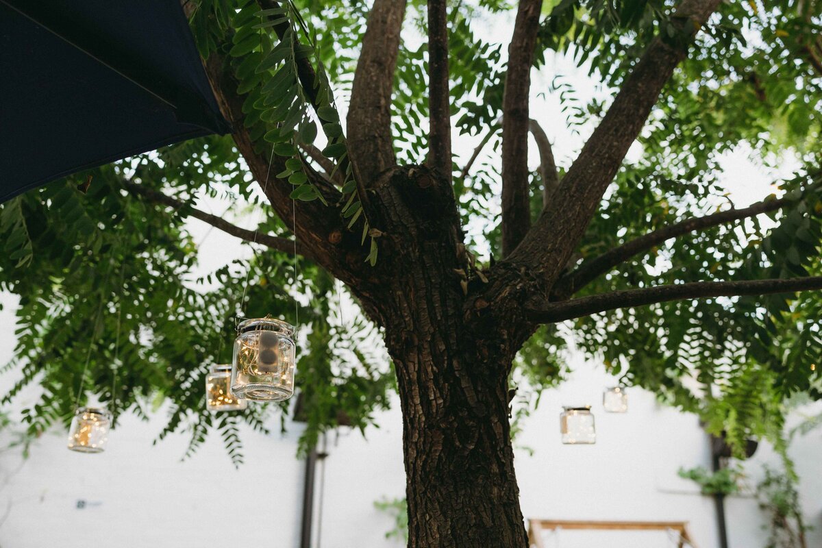 markanddianewedding-657_2_11zon