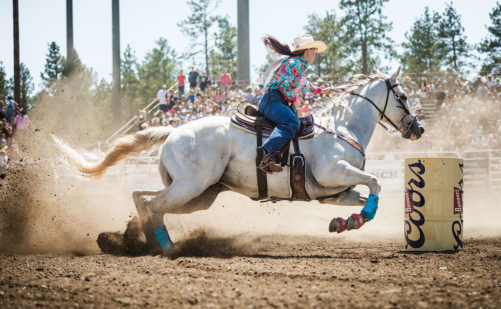 20240609_kya-photography-equestrian-photographer_0009