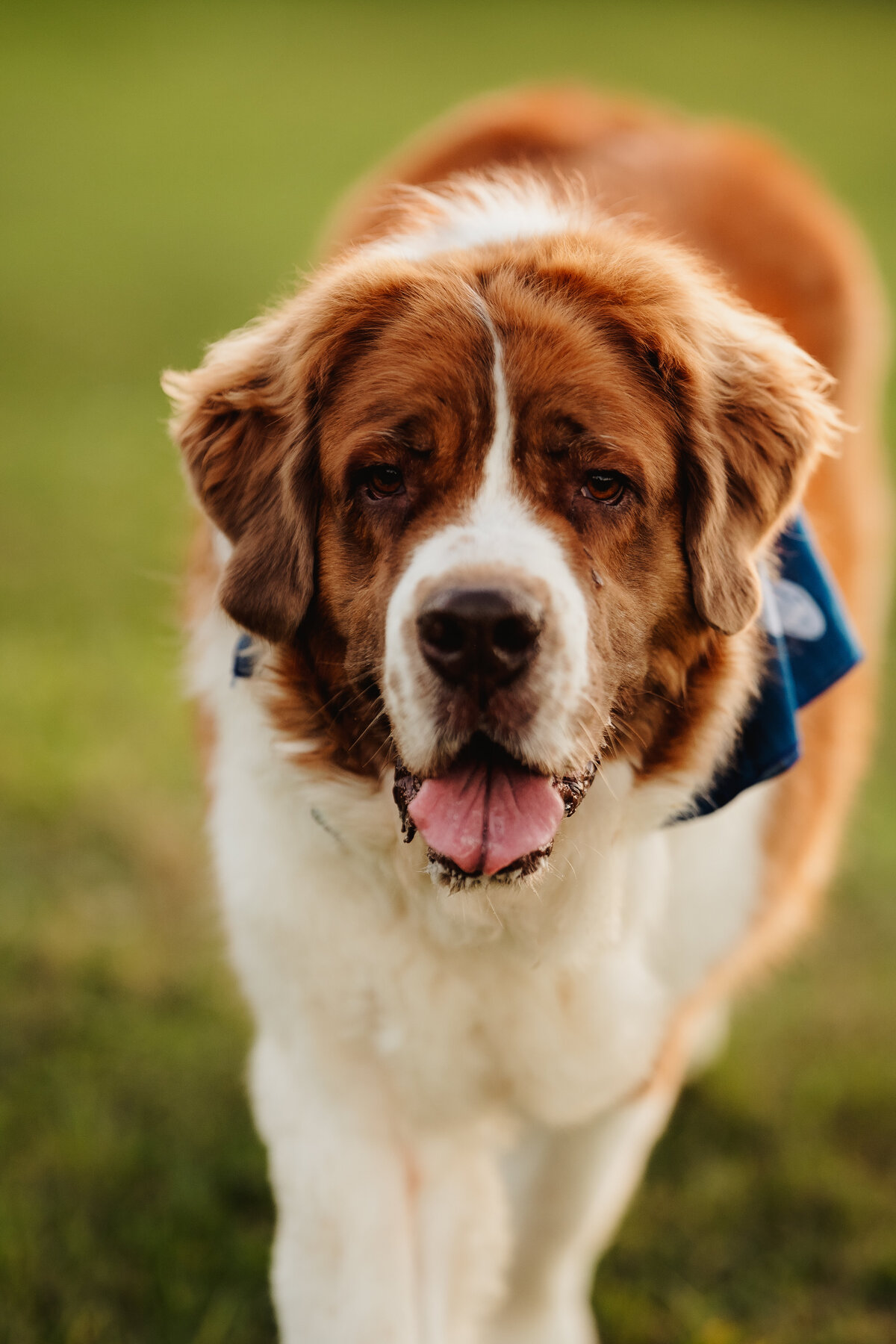 NicoleS_Fall2025_139