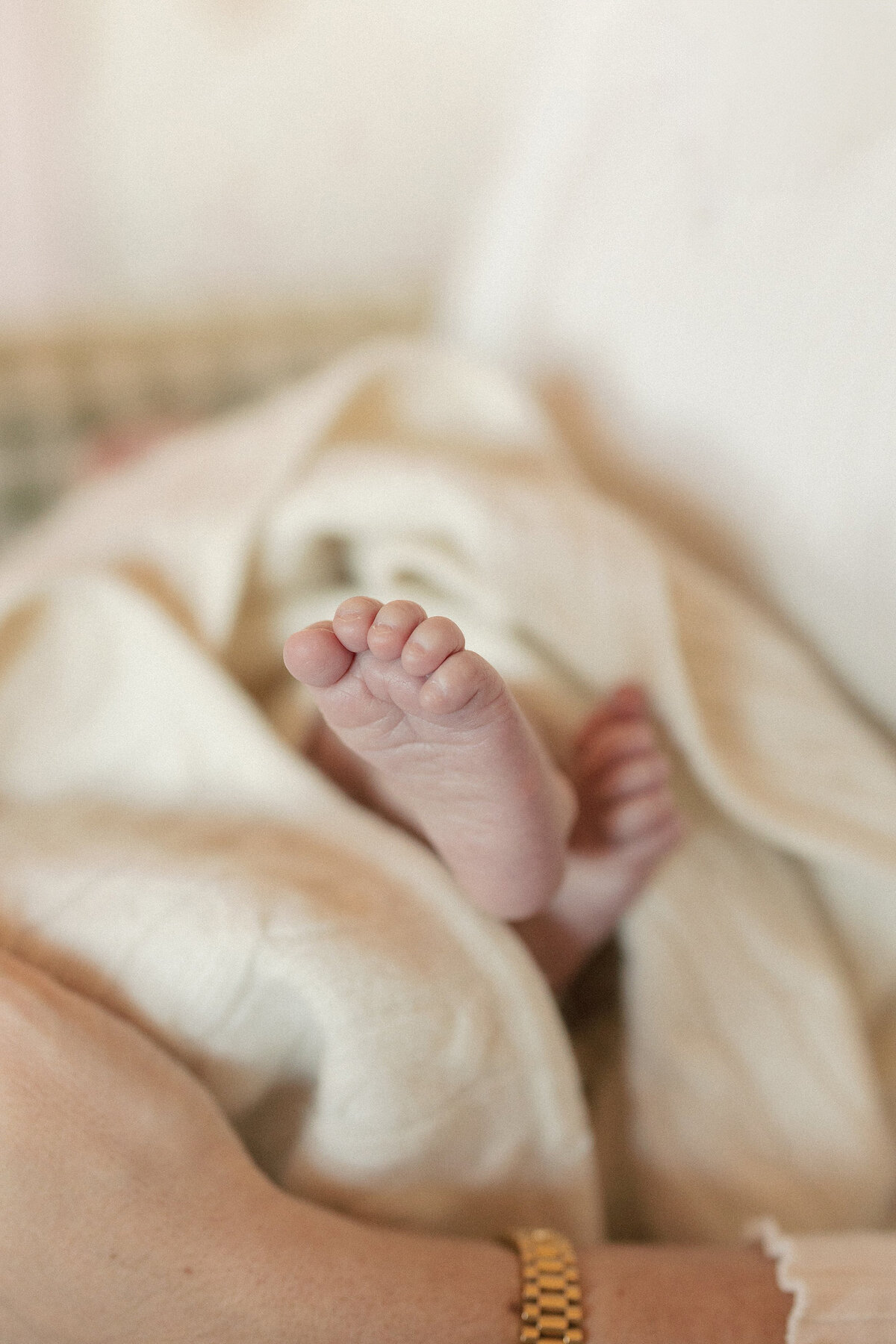 Boston Newborn photographer Deborah Zoe Photography