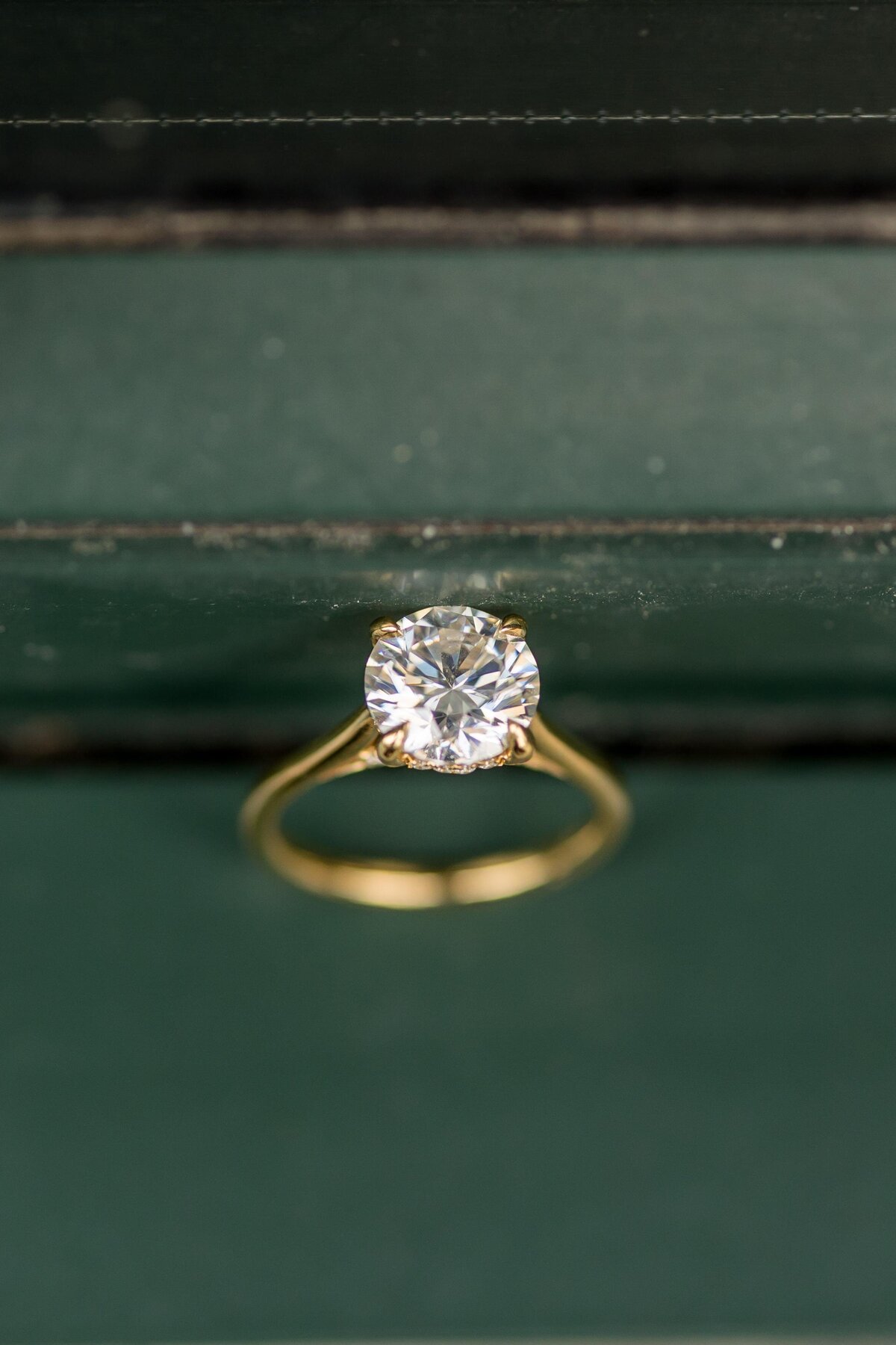 boston area wedding and engagement photo session
