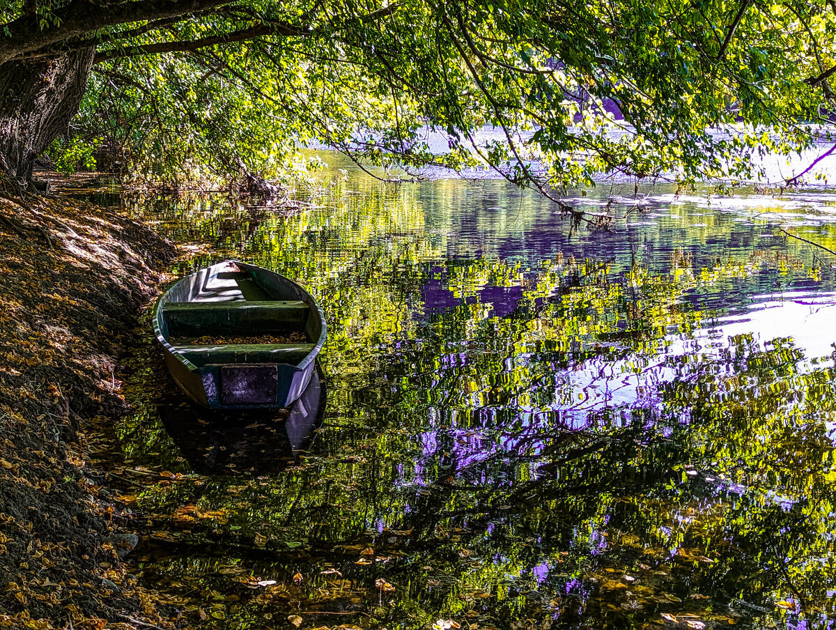 Tranquil Dordogne