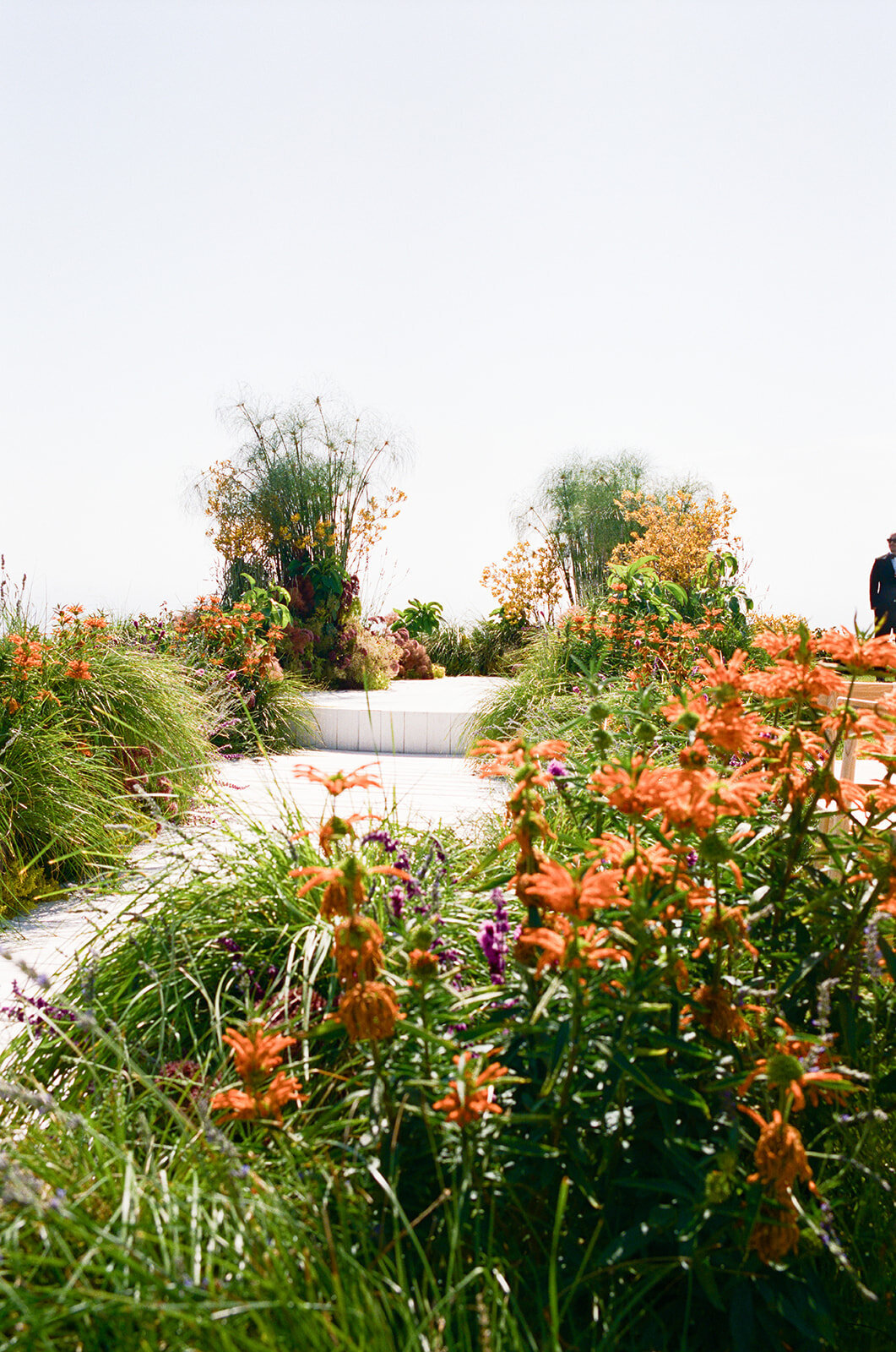 Tripp_Devry_D3_Santa_Barbara_Wedding_SBerard_Weddings_C-1