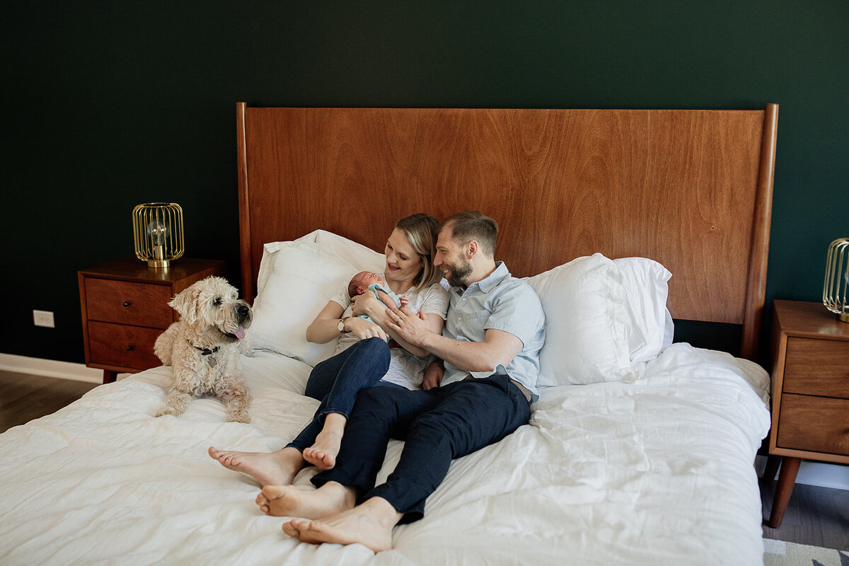 family on bed with dog_websize