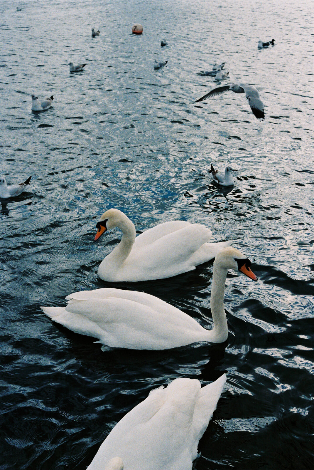 FloraAndGrace_London_Editorial_Wedding_Photographer (540 von 555)