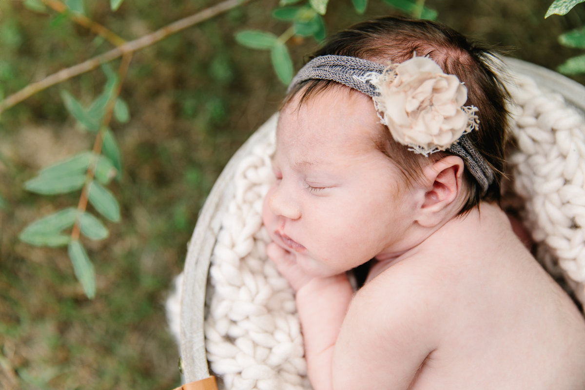 raleigh newborn photographer-lena-9051