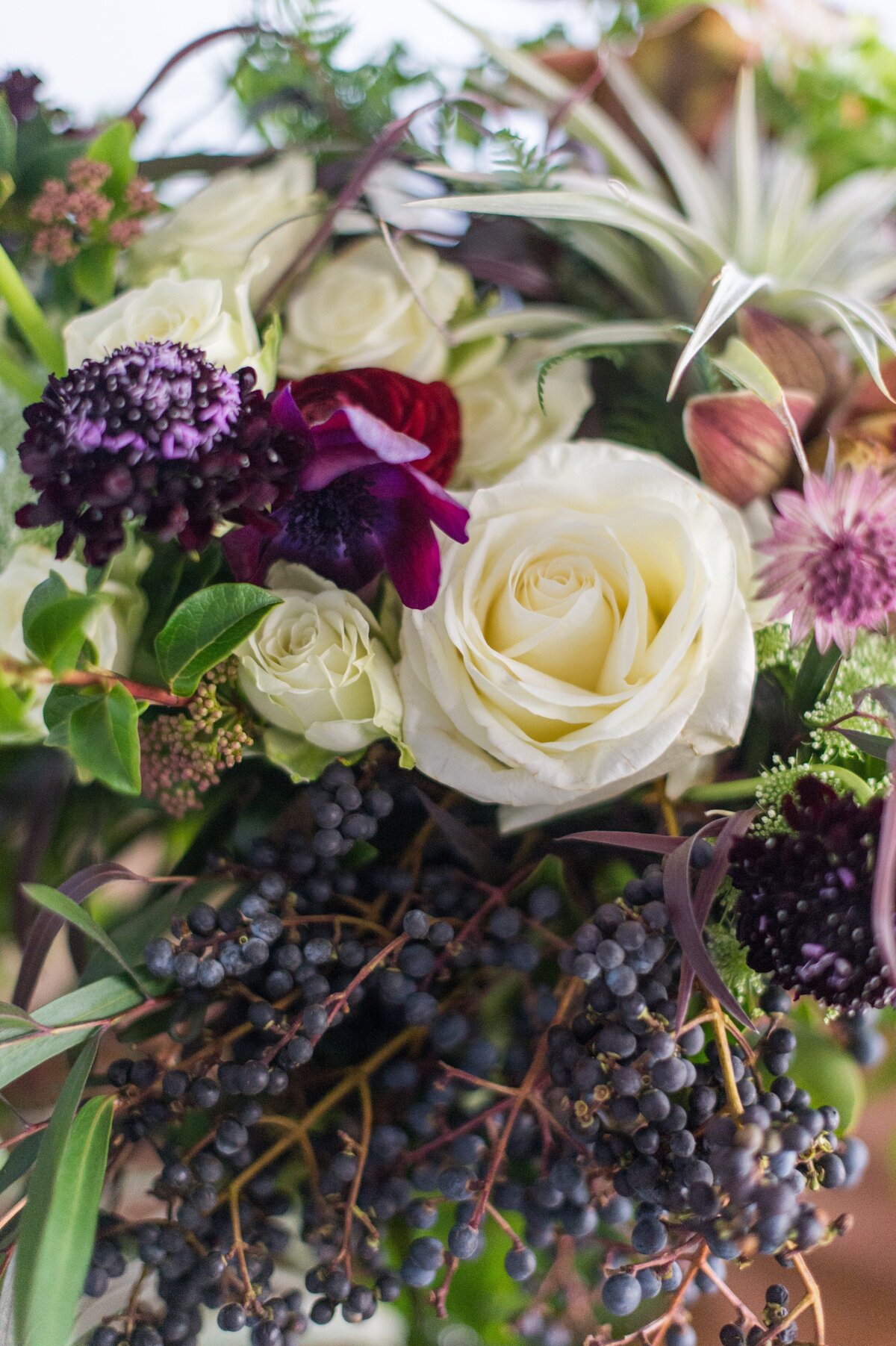 leila_brewster_photography-38