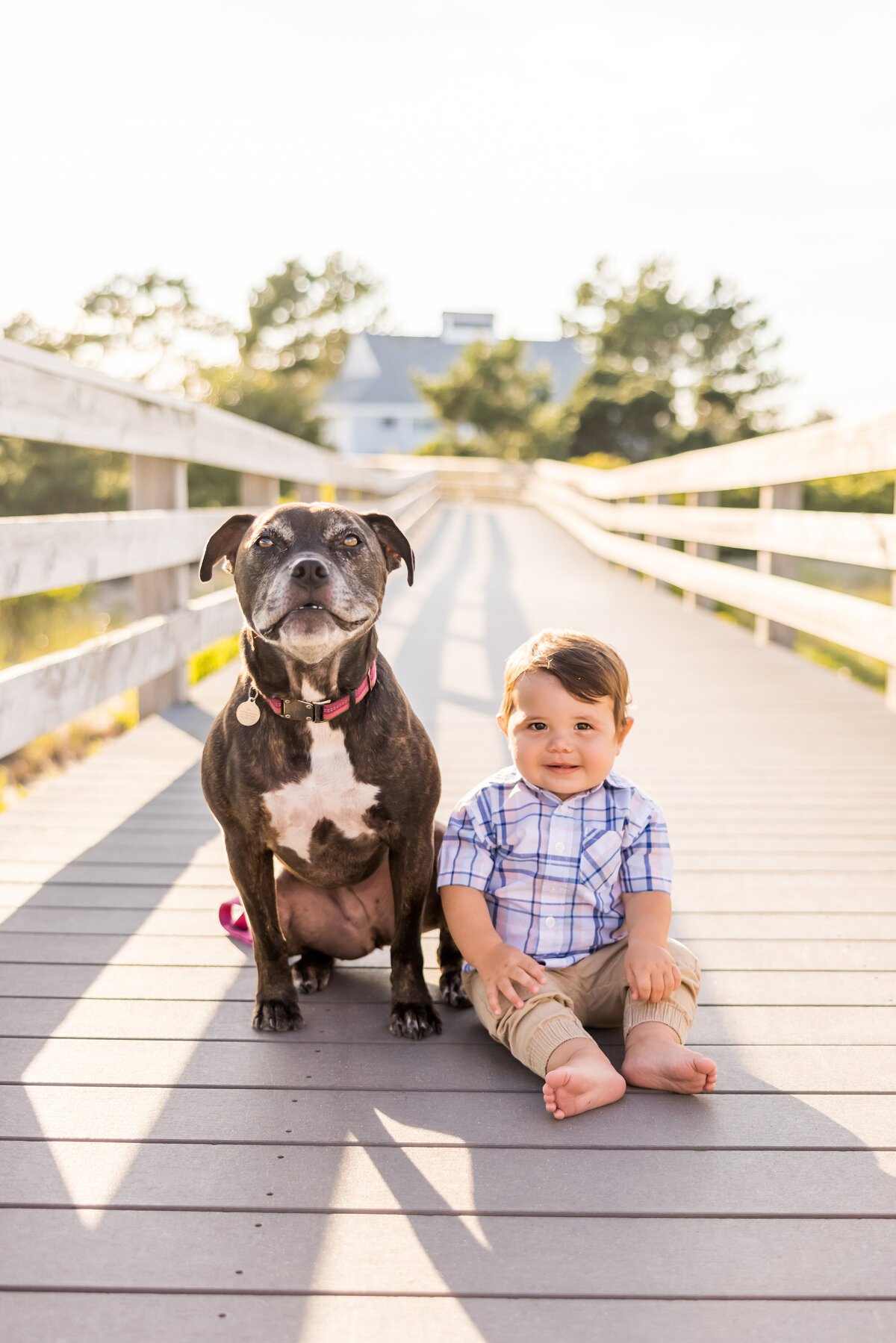 beach family photos with baby and dog