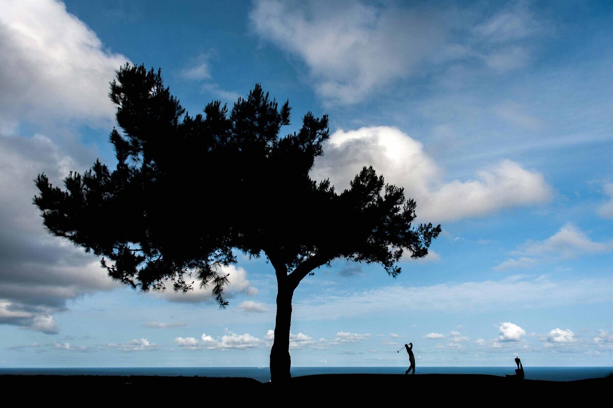 A tree and golfer are silhouetted against a sky at Punta Cana. Golf tourism promotion image