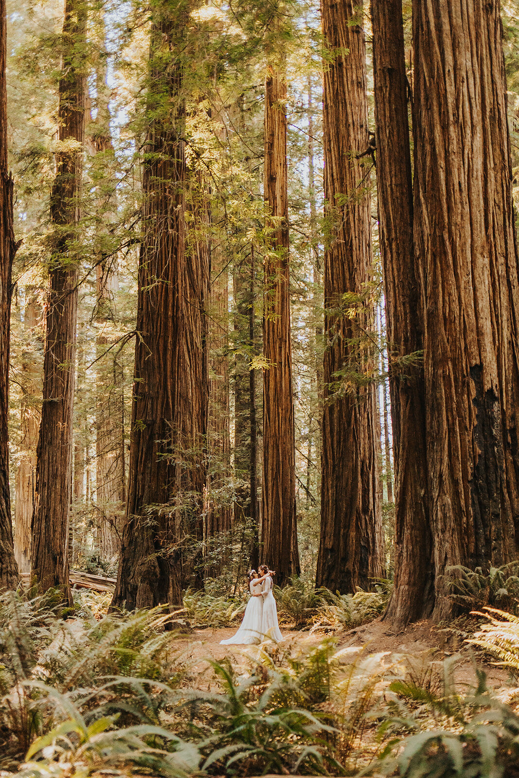 Redwood-national-park-elopement-venturing-vows-15