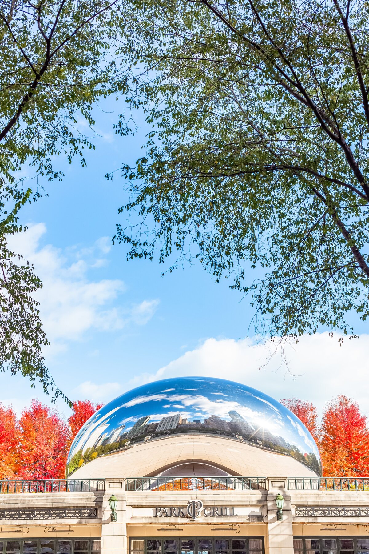 Chicago-illinois-City-2015-2019-2020-The-Bean-Millenium-Park-Museum-of-Science-Industry-0167