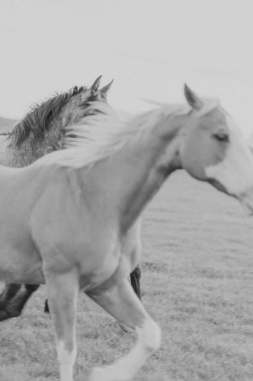 Diamond-cross-ranch-wedding-J-NFoxtails-photography-284