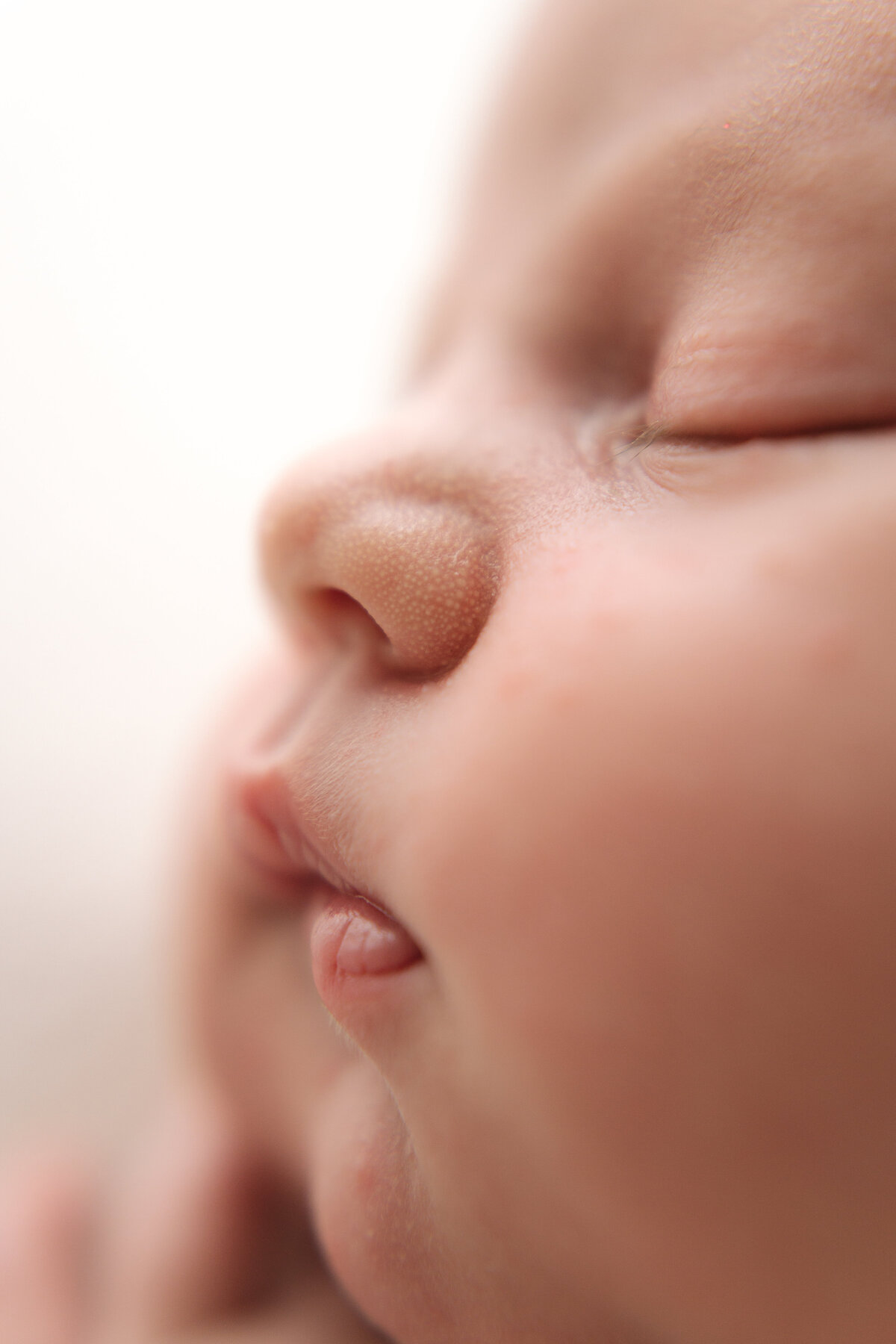 Stanley Horner 11 days 25