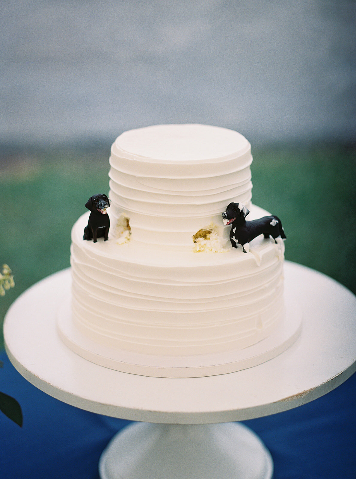Roberta Wedding-454