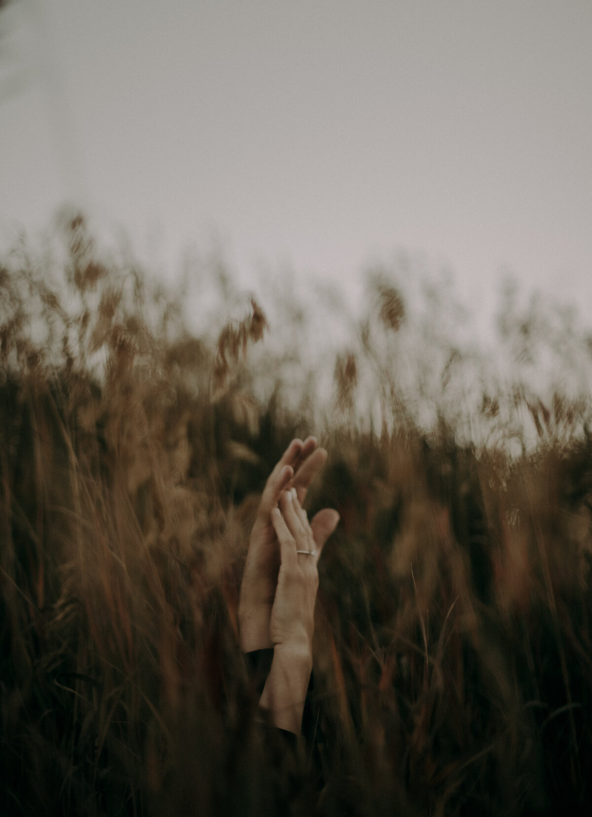 Erin+DrewEngagement_EngagementSession_0042