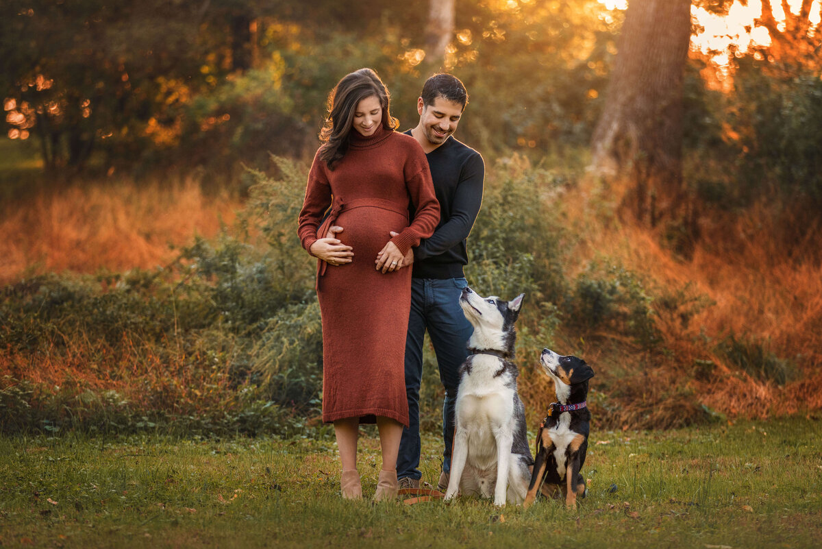 Expecting Couple With Two Dogs