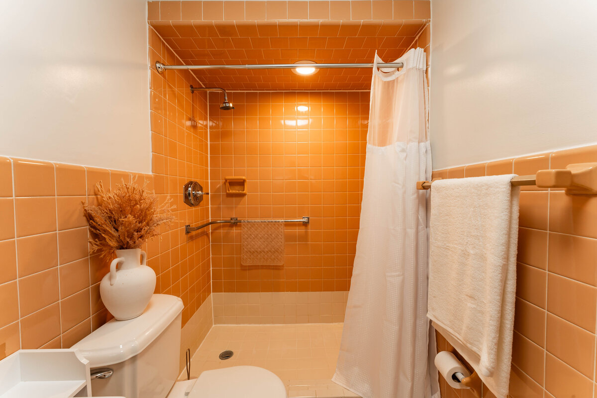 Bathroom 1 (2)