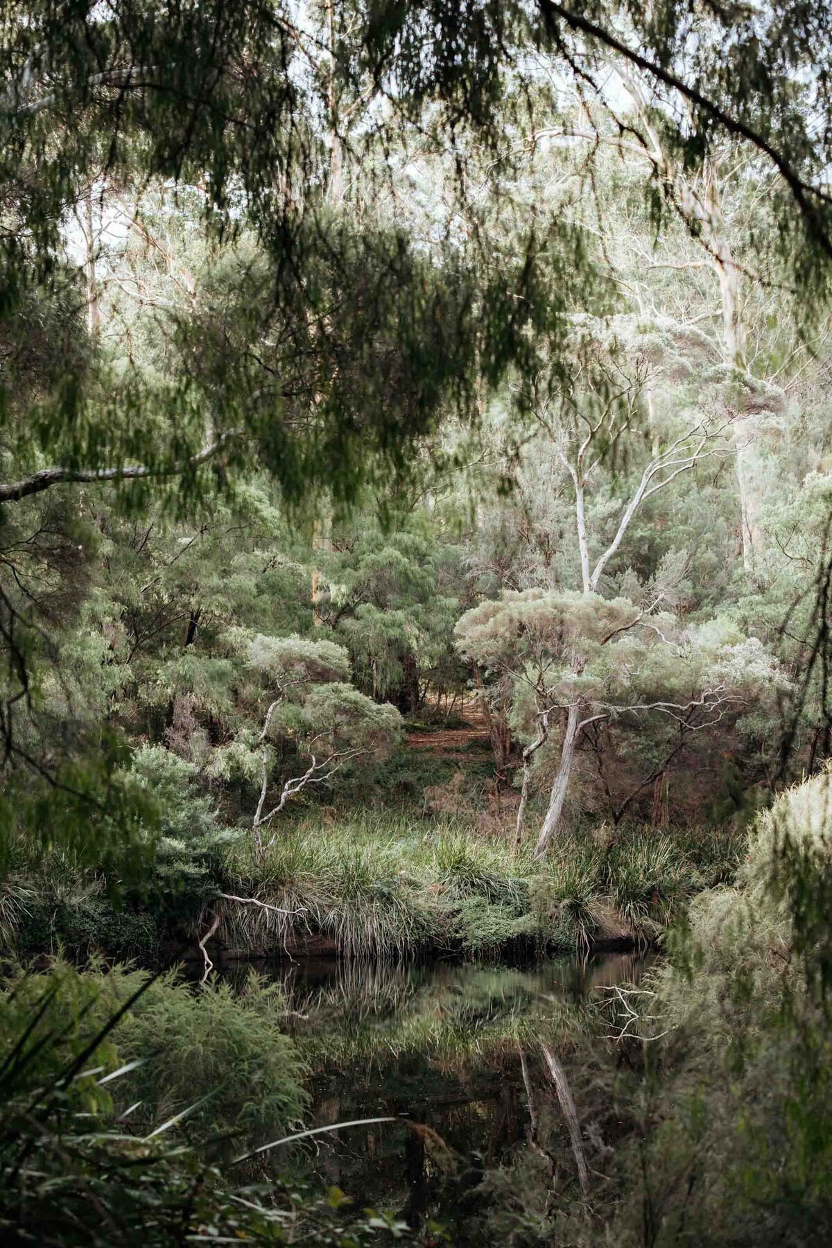 Forest-Elopement-16