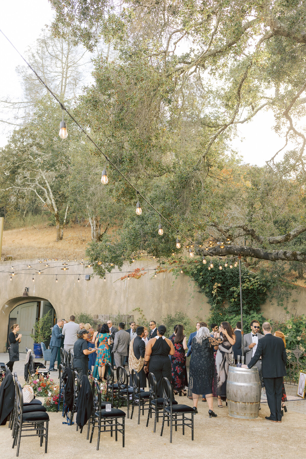 gretchen_gause_photo_healdsburg_-570